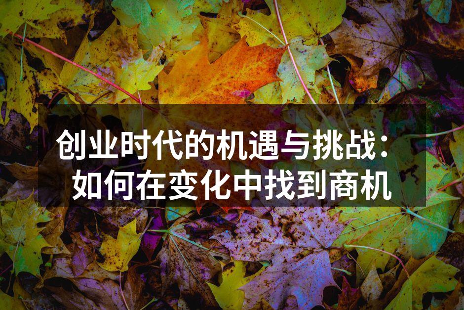 创业时代的机遇与挑战：如何在变化中找到商机